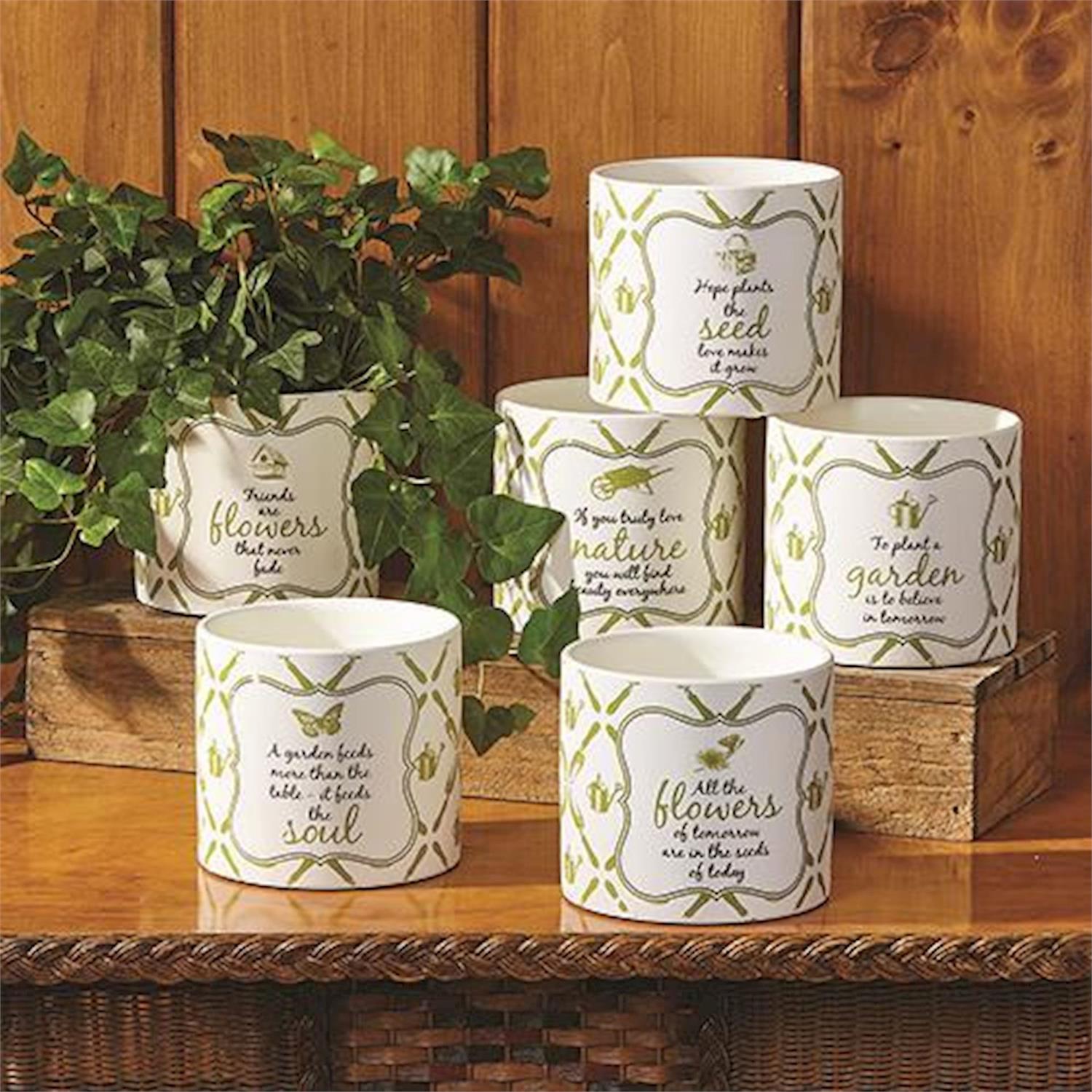 Garden Cachepots