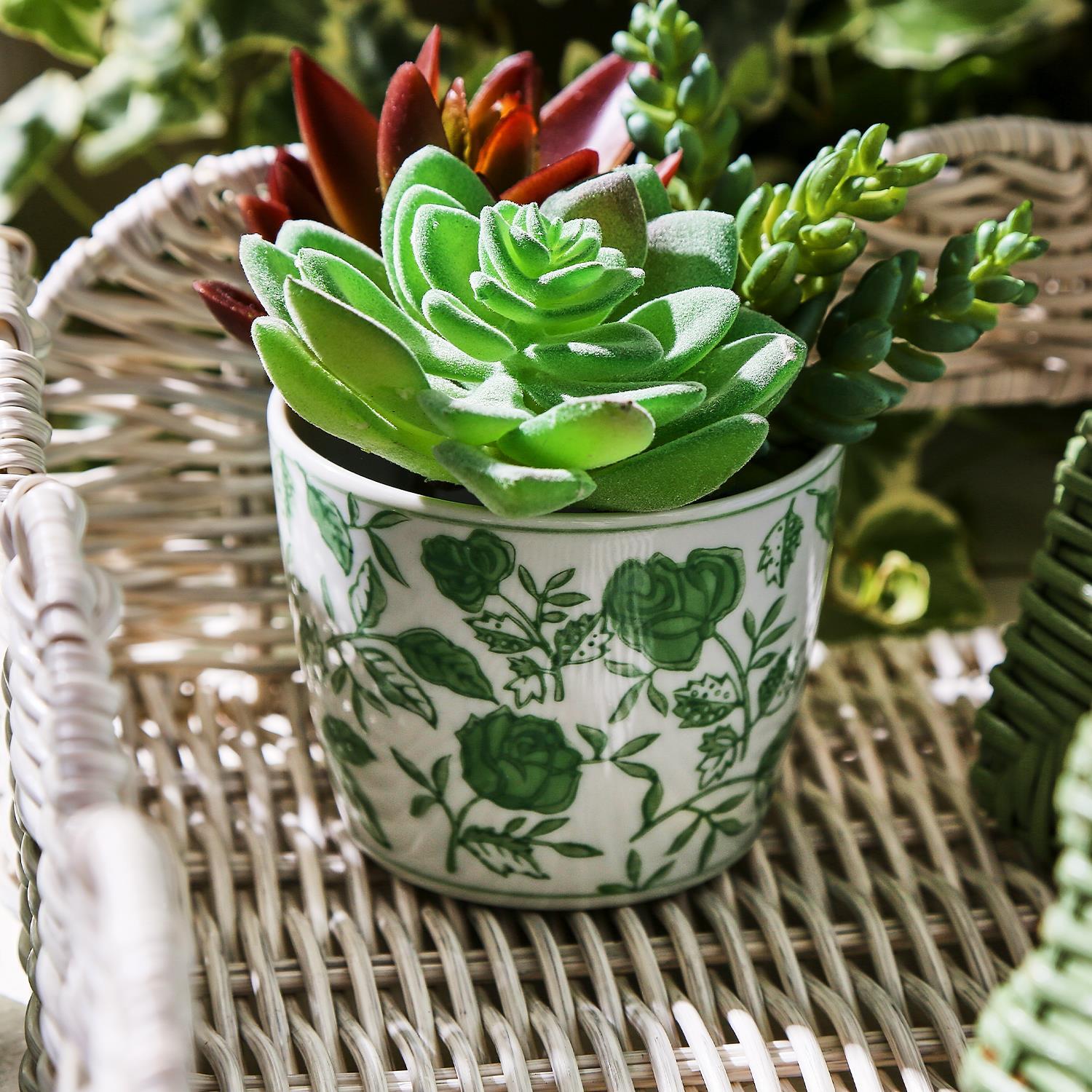 Green Cachepots