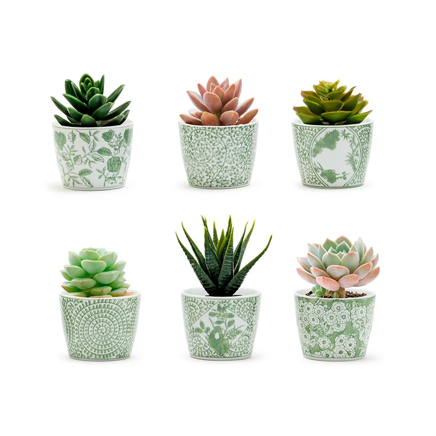 Green Cachepots