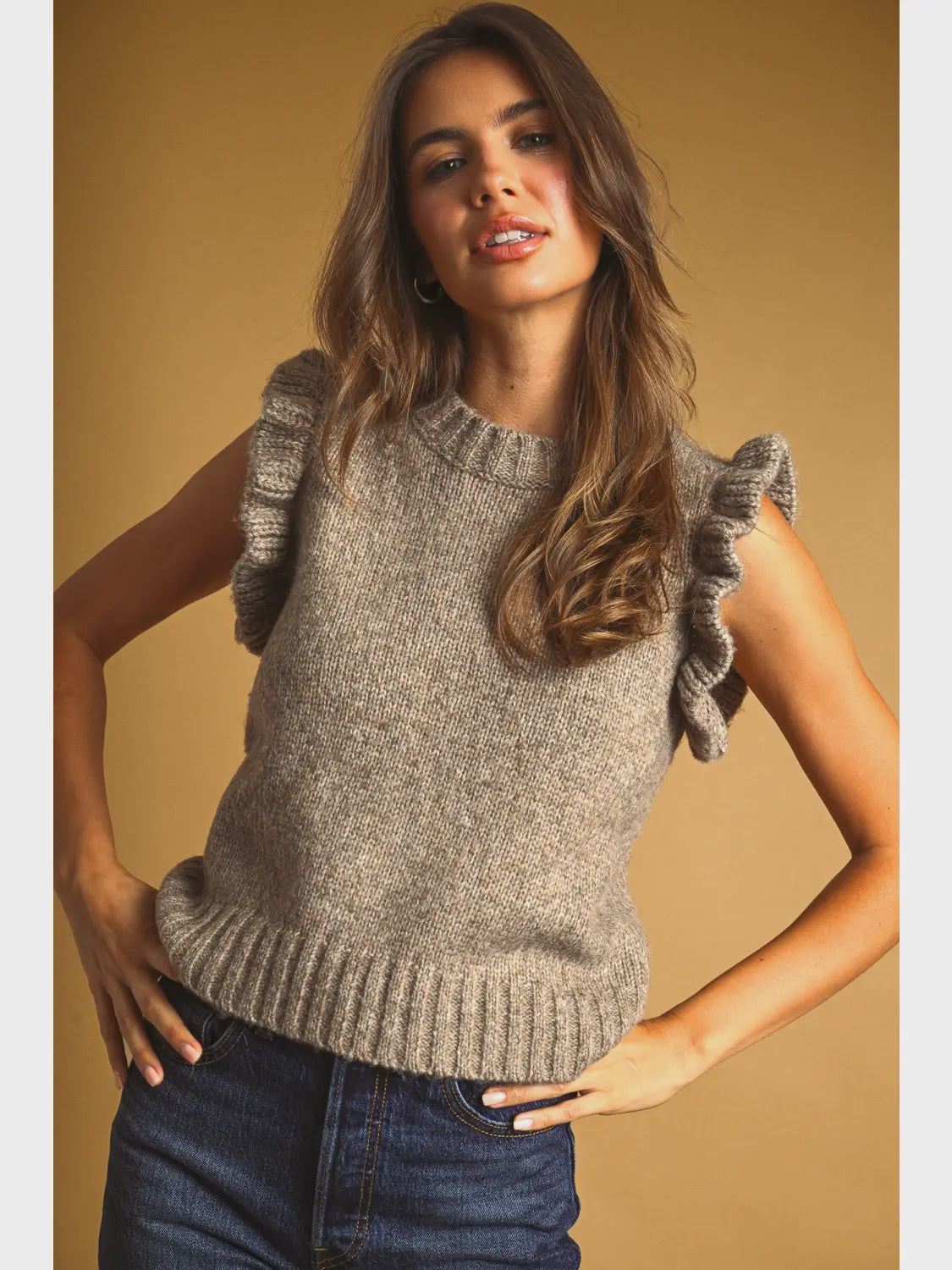 Ruffle Sleeve Sweater Top